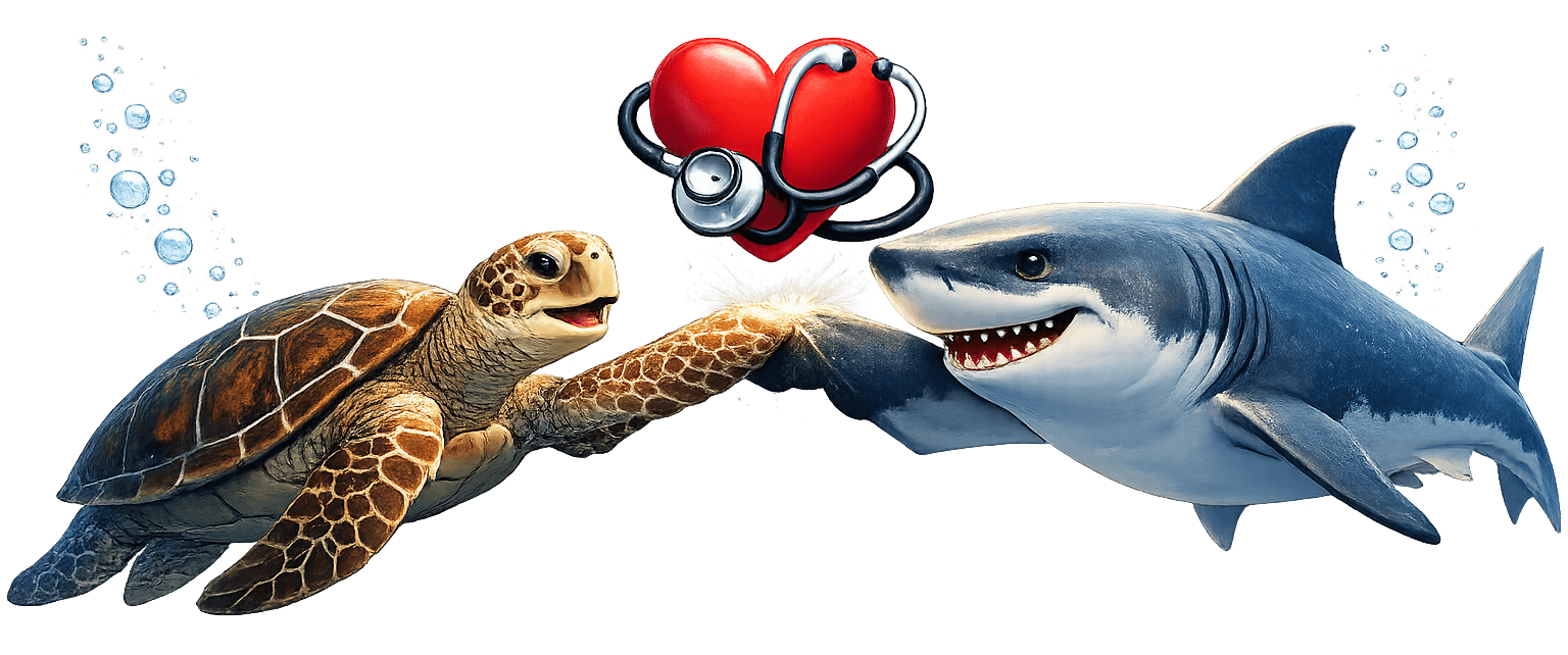 SafeDiveCard Header Logo